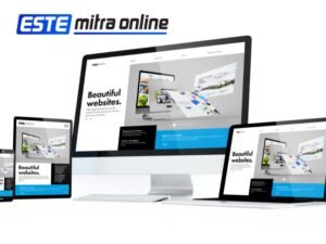 Read more about the article Paket Website dan SEO Murah, Solusi Digital untuk Bisnis Anda