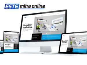 Read more about the article Jasa Pembuatan dan Pengelolaan Website untuk Bisnis yang Lebih Terarah